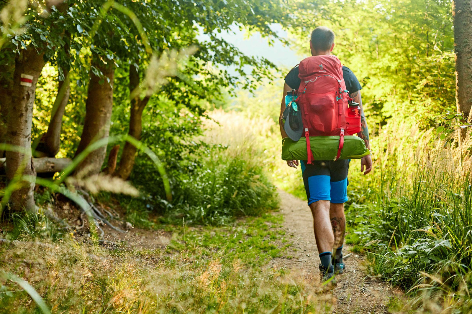 Ten things that you should have in your backpack